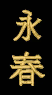 Schriftzeichen Wing Tsun